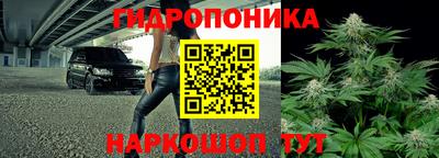 молекула духа Малоярославец
