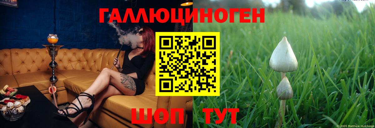 Галлюциногенные грибы прущие грибы Губаха